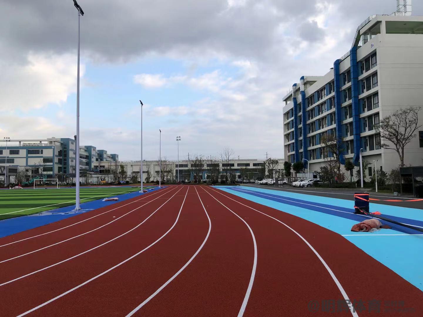 湖州透气型塑胶跑道的价格是多少